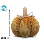 V3H66E11970574740FA6972B9DF4511193AR7058254P2