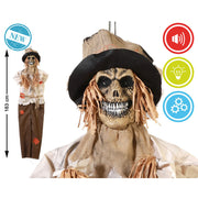 V3H2B8E0C95BD6C0C2D4B0084CC35A2334ER7058400P2