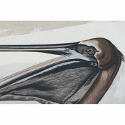 V15H3A9E795A9D951D49BD6C1C0E8E13B7E7R6590308P2