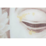 V12HFBF7B534833CCFDA9432AED269D0A581R6372386P2