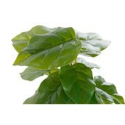 V9HC556B2A9EDD3EF648EC4F339DE4B7B54R1920611P2