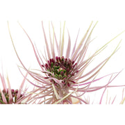 V10HE67FF705CD0F8BF0CF8C8C2EB173A2F0R5661371P4