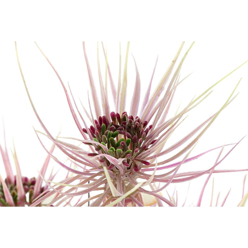 V10HE67FF705CD0F8BF0CF8C8C2EB173A2F0R5661371P4