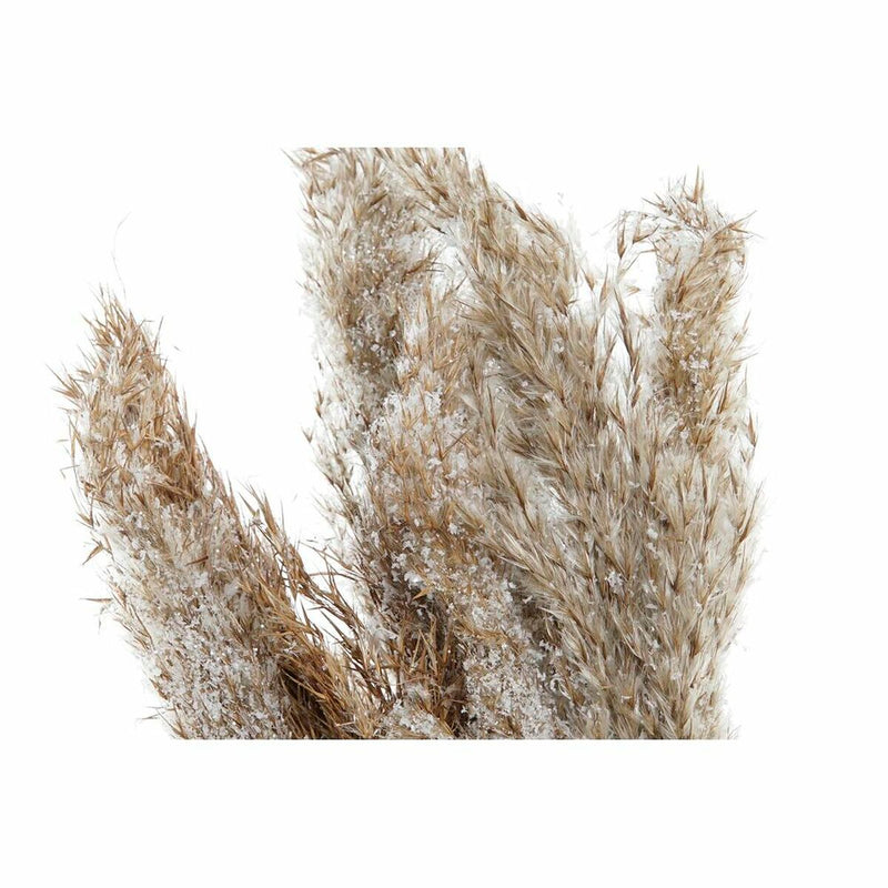 V12H01B49AE53E3AF97F283317C515B0B97AR6377100P2