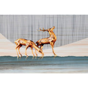 V12H9555D51CA1FBF4E6E504BE736F3C85ABR6372228P3