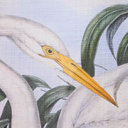 V11HF1D53B564F3B6131FA6561A9693D2333R6372341P3