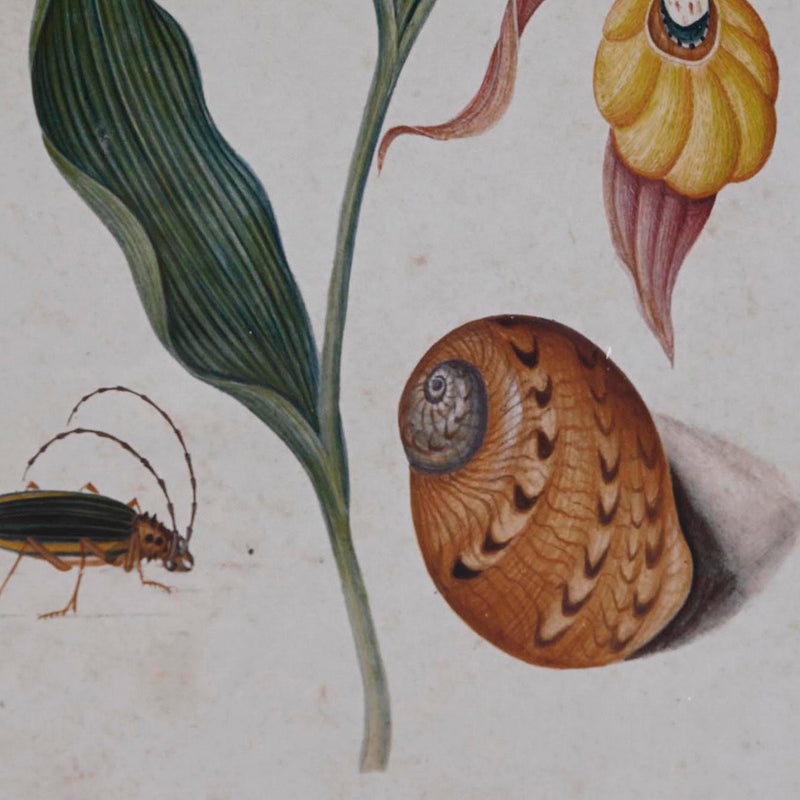 V11HCB316EBA705A96666ED77F68E8CE51A9R6372052P3