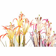 V10HECEFC08C45A7128CB252F24043AD3A5CR6377939P2