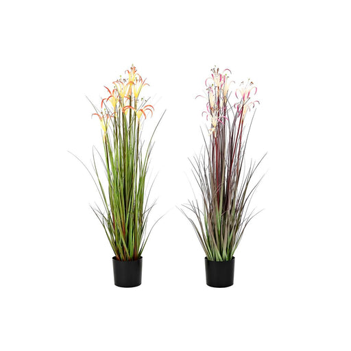 V10H0ACD8467ED6640ED43CCD9066BB1E3FCR6377937P1