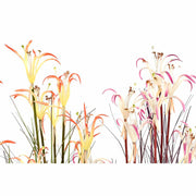 V11H015A82EB0084D17E775BD3C804389B04R3908575P2