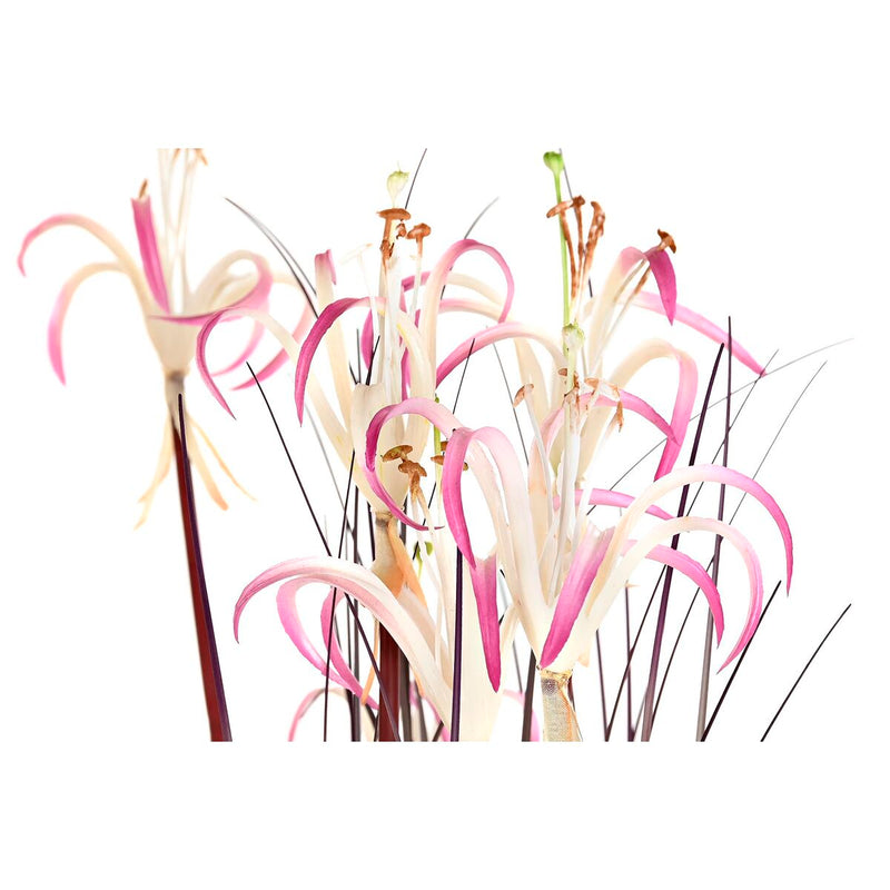 V10H57E88A820ED12C89EBA25DBB0944C4A1R4985915P3