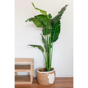 V3H422FBE6F68253F85F5296F6C1BA01E51R7429609P2