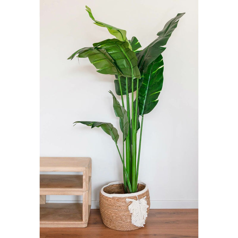 V3H422FBE6F68253F85F5296F6C1BA01E51R7429609P2