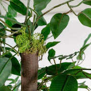 V9H53CCD2E7F22401DA024E2E300C79E183R6382228P2