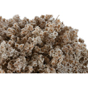 V5HF531E843DE66D958AC479A802C19BFCER4456792P2