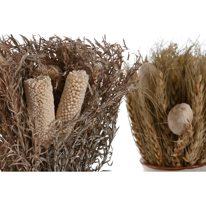 V5HB41DB707F15756C7B72041D914652701R4456797P2