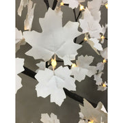 V7H8F278FEC7ECC646C5D0BE5ECD366B981R7104771P4