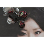 V5HE36269C7D9F257822E3E0C0264339CA1R6822824P3