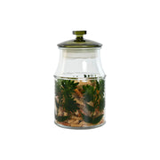 V5H1D3731C216657F705A5B0ADD8EEC1CEER5266809P4