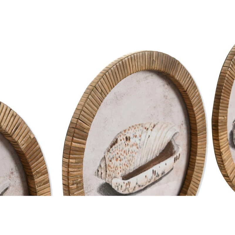 V3H9802500734AEB4F42B1F1E50E51A8E7ER7422544P2