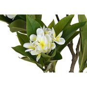 V4H0799B77D896F50EFE941F293E8B1B4EAR5676124P2