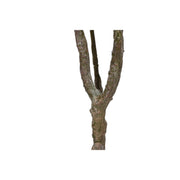 V4H41ABFAE52A3AE3DF66EA4A192D86EAE5R5676126P3