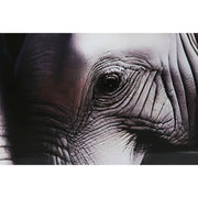 V6HD8455B5CD53F2D13102131529DB5AE99R6373147P3