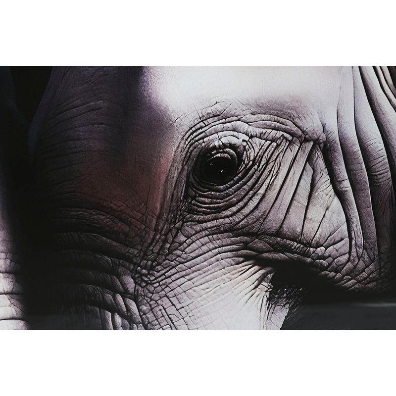 V6HD8455B5CD53F2D13102131529DB5AE99R6373147P3