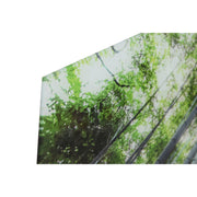 V6HAA19CF00DA1945D100EF7AFEA9E10735R6373239P2