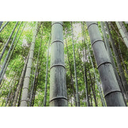 V6H8DFEE6D2C125F126D2F6B9B79C3C8A6BR6373240P3