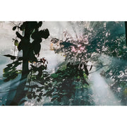 V6H38922A19197D65414A190C39945253EFR6373192P3