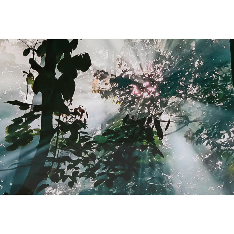 V6H38922A19197D65414A190C39945253EFR6373192P3