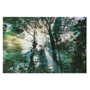 V6HBD14B40FBA0F91980D1ED2F4D3A49DC5R6373186P1