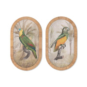 V3H14A126B9BF91318DEB26B02A50BB4B86R7428785P1