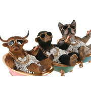 V3H5C42FFD0F5C364E006CAC8A584789D94R7360899P3