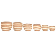 V3H72A94278592CD32D8F543DB06FD66505R7425352P1