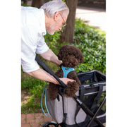 V3H0E8C6F833C0CD12495DE0BBCEBC111CDR6716257P4