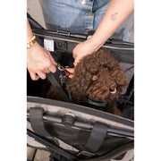 V3HAE2BF44DE0E8CBF2900F55603A1654E0R6716261P5