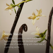 V3HE3FDF9088B5B9B77BE7067627B290807R7591240P3