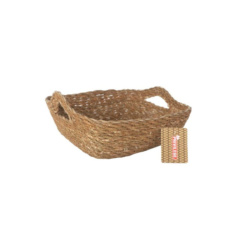 V4H4D3E59006111E61513ACBF8A4EB772B0R5603501P2