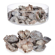 V11HB881BA24FF23FC1B497861117249CAD0R7264622P2