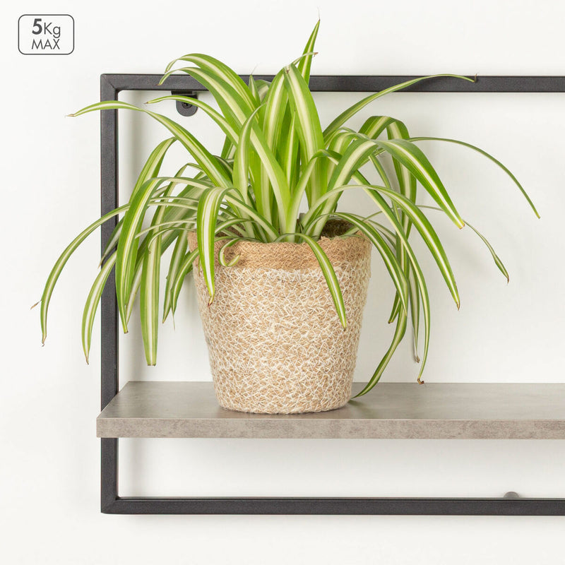 V3H8C317E28C18BC330968F2BF3222D38E4R7575131P4